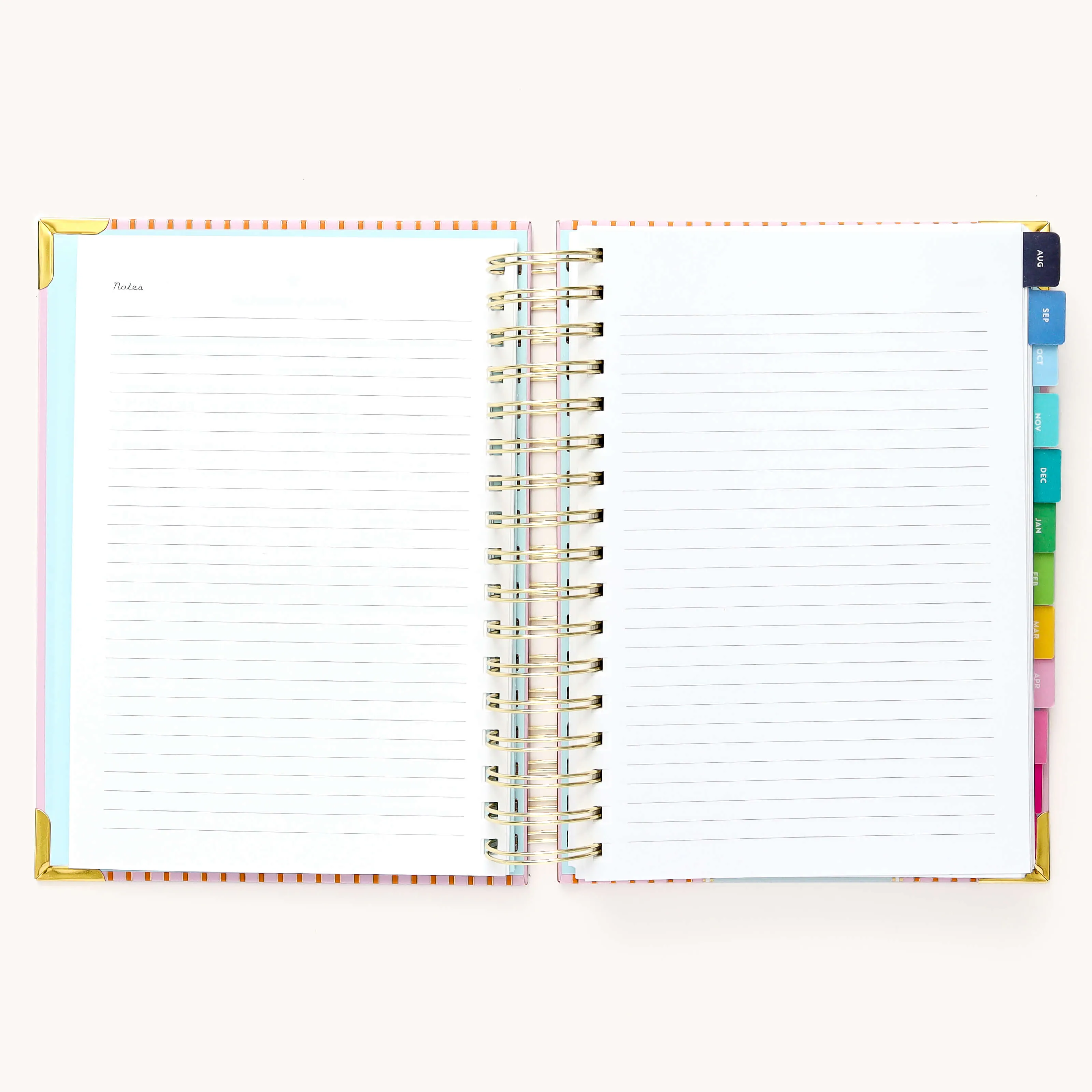 2024-2025 Daily Simplified Planner - Cabana Pinstripe