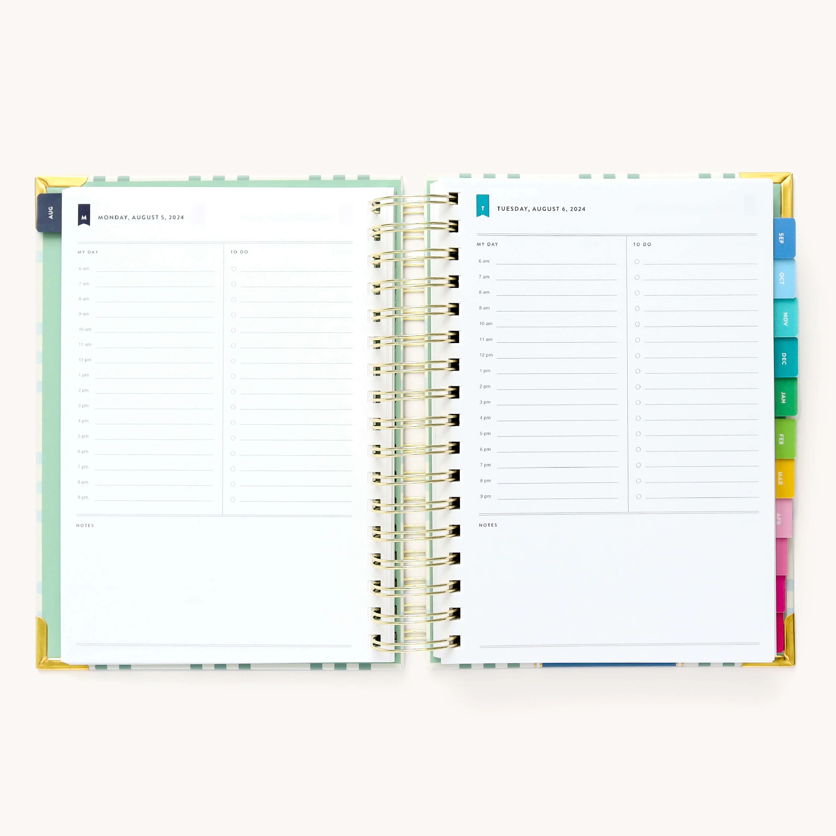 2024-2025 Daily Simplified Planner - Pistachio Plaid