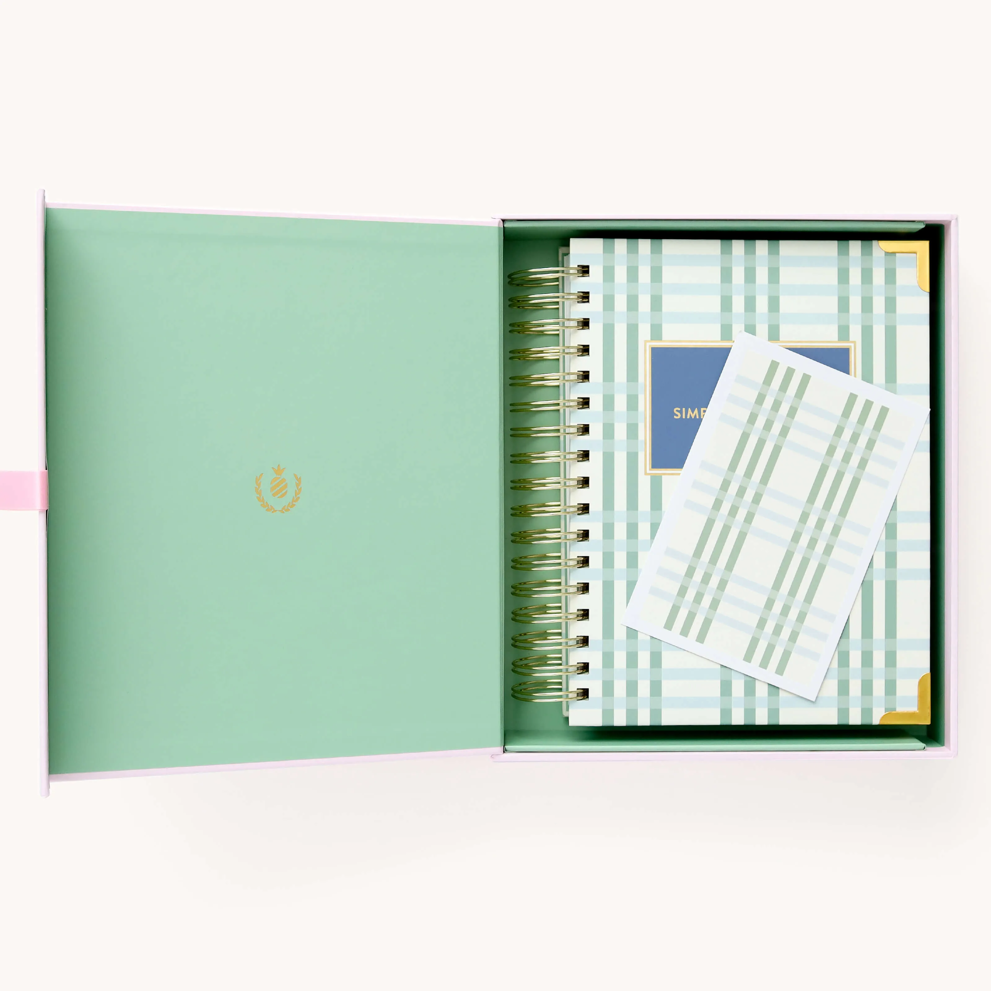 2024-2025 Daily Simplified Planner - Pistachio Plaid