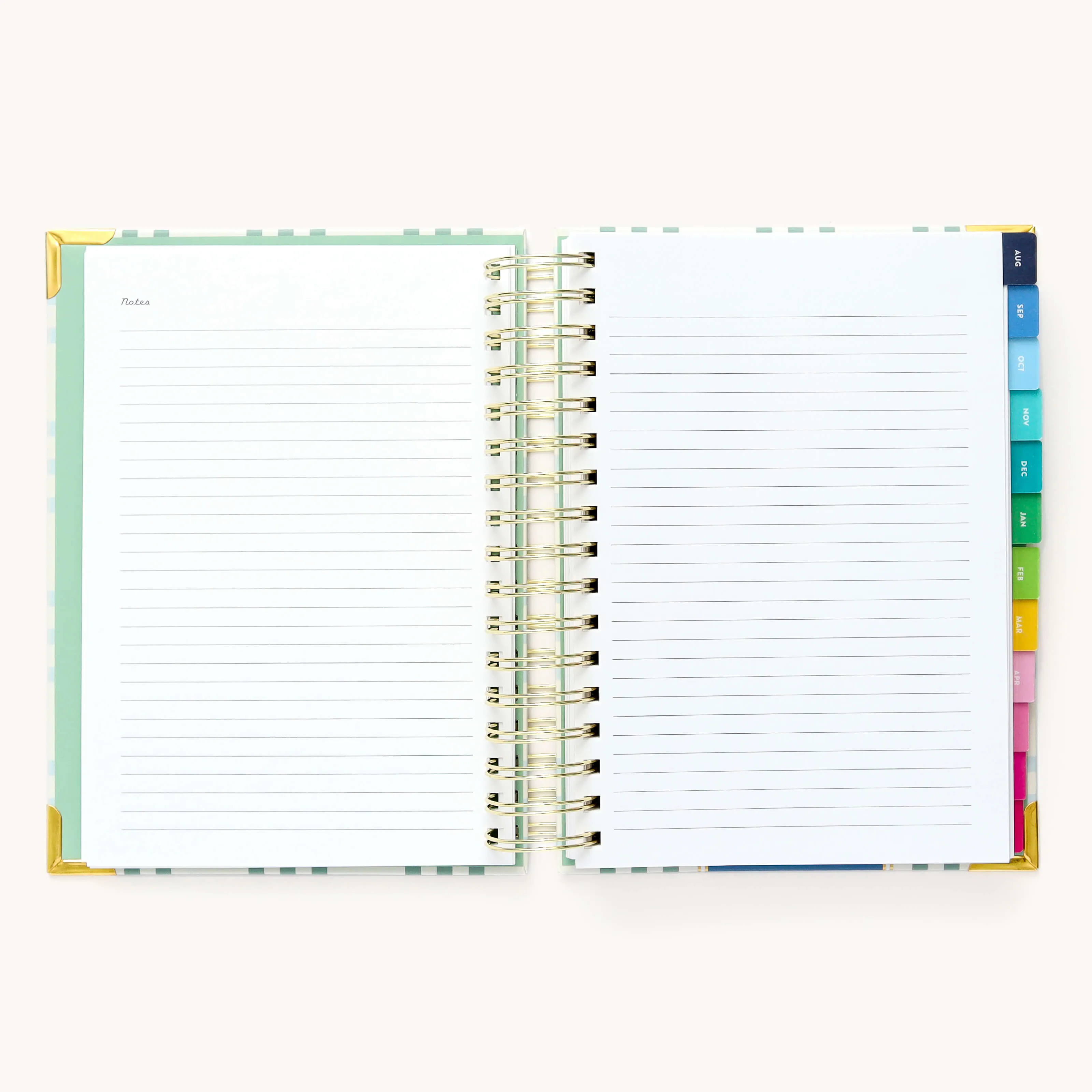 2024-2025 Daily Simplified Planner - Pistachio Plaid