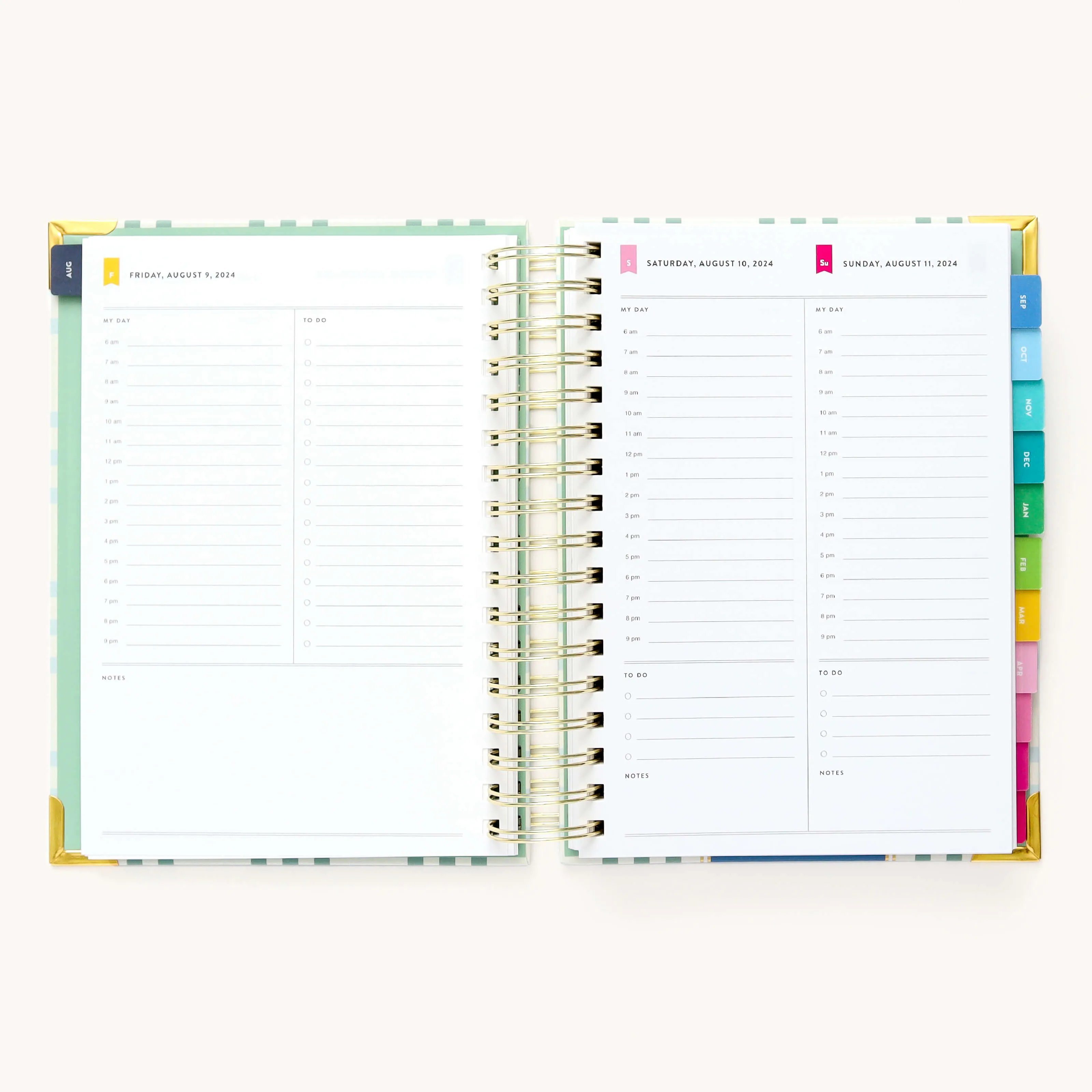 2024-2025 Daily Simplified Planner - Pistachio Plaid