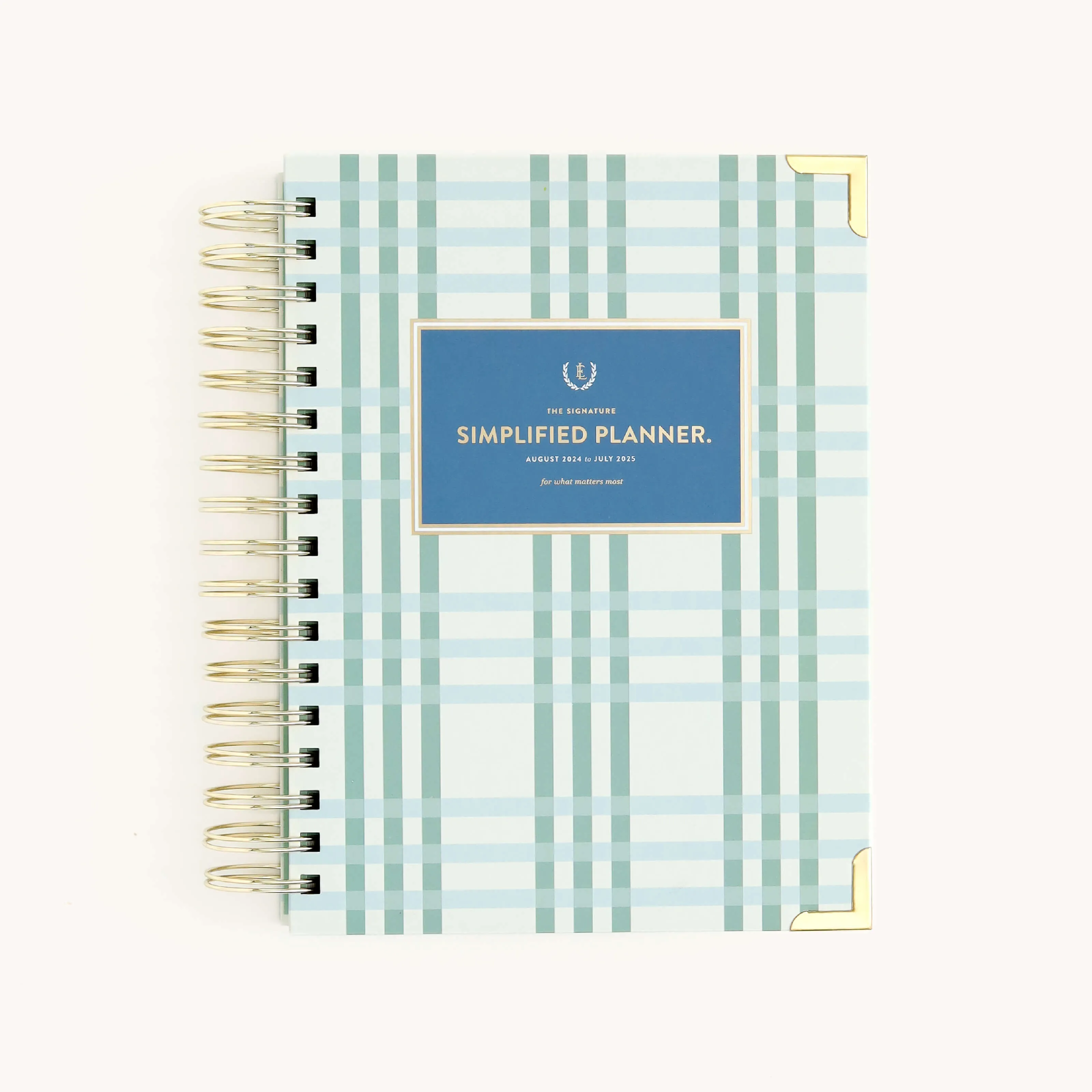 2024-2025 Daily Simplified Planner - Pistachio Plaid