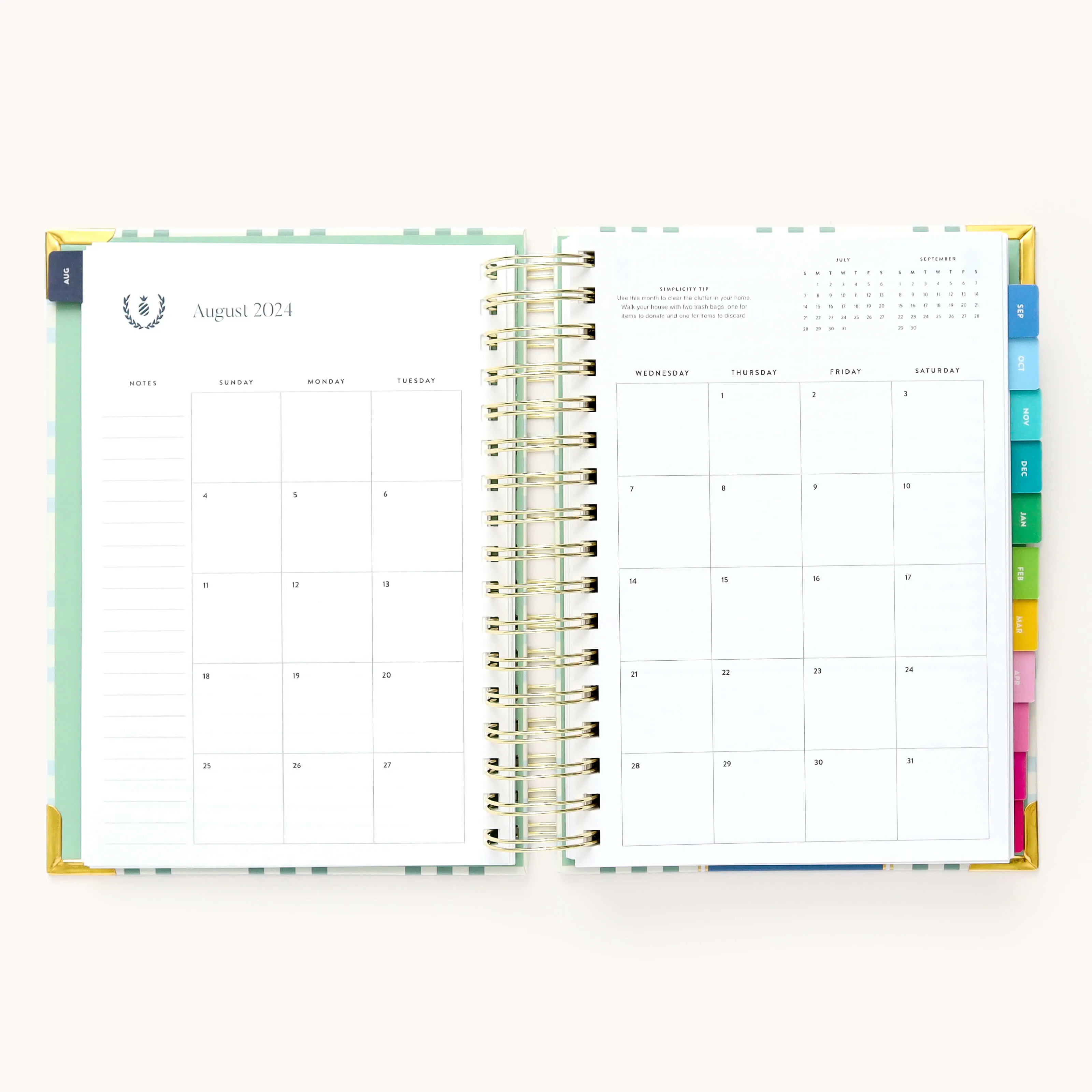 2024-2025 Daily Simplified Planner - Pistachio Plaid