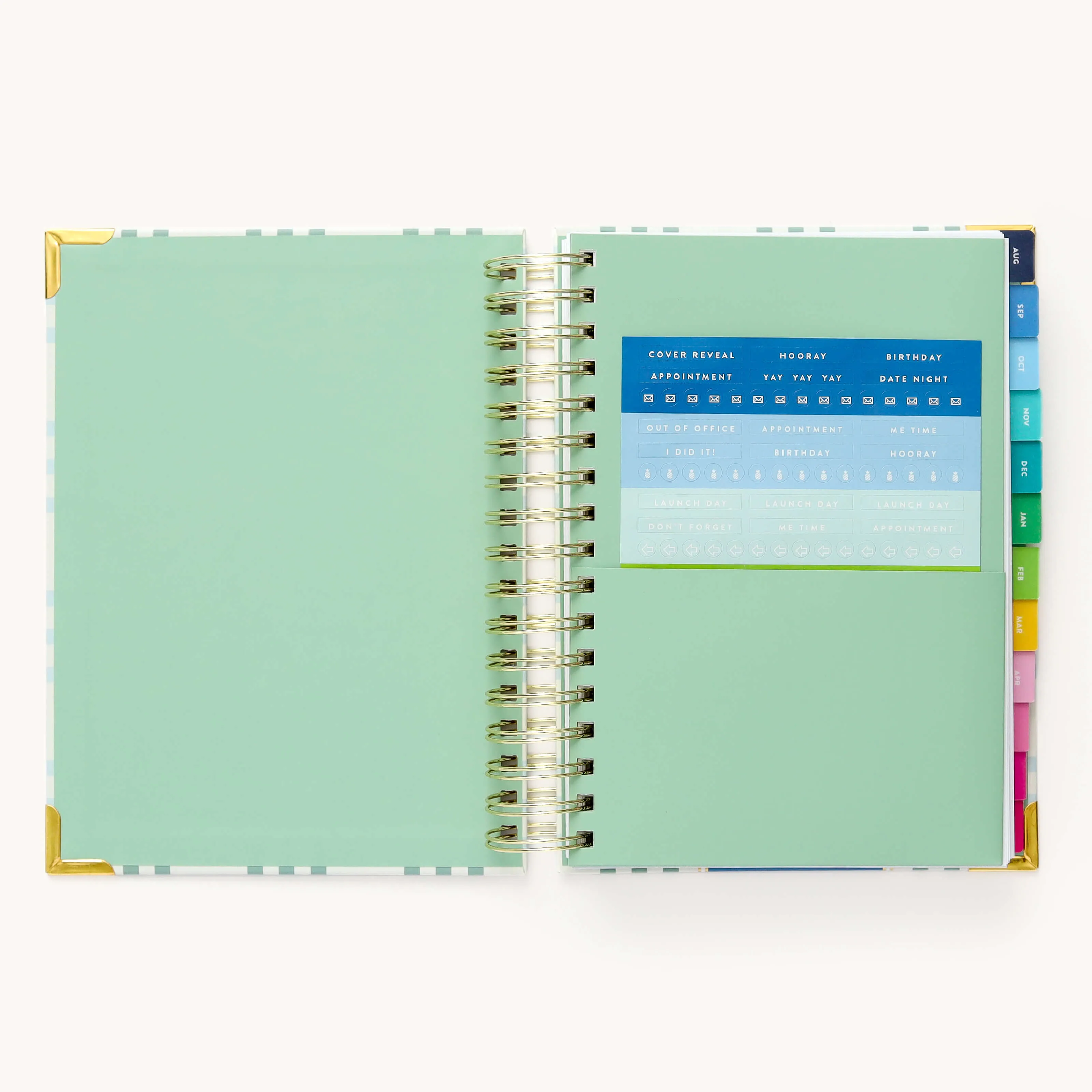 2024-2025 Daily Simplified Planner - Pistachio Plaid