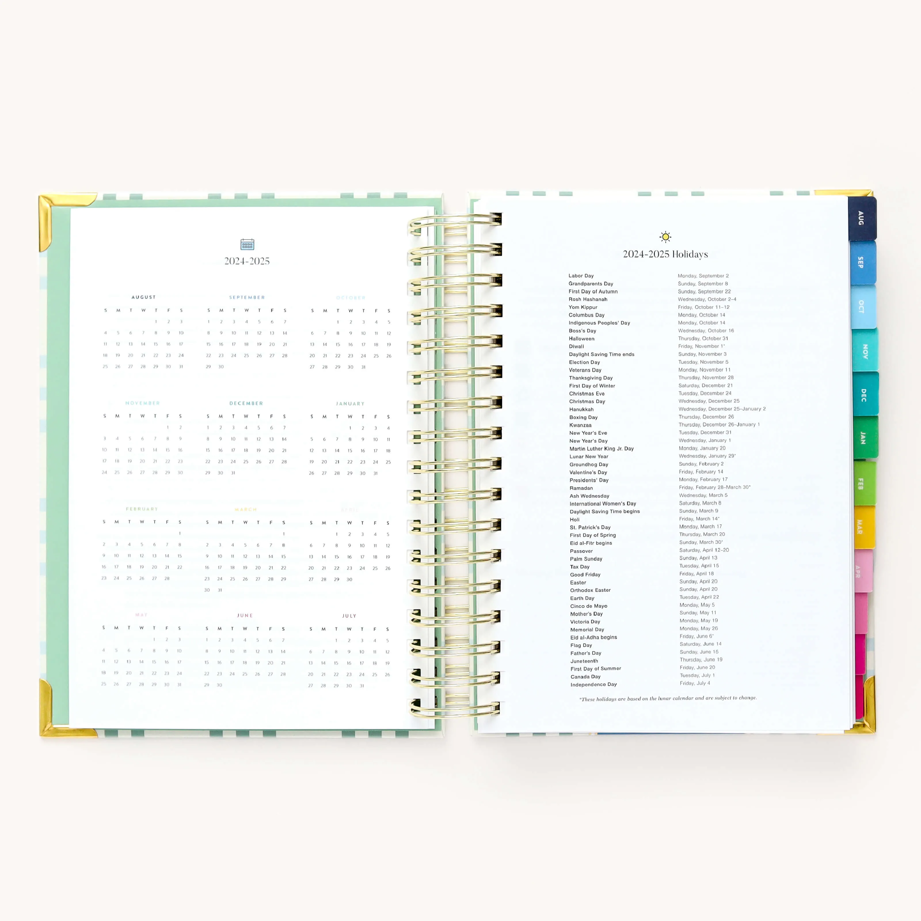 2024-2025 Daily Simplified Planner - Pistachio Plaid