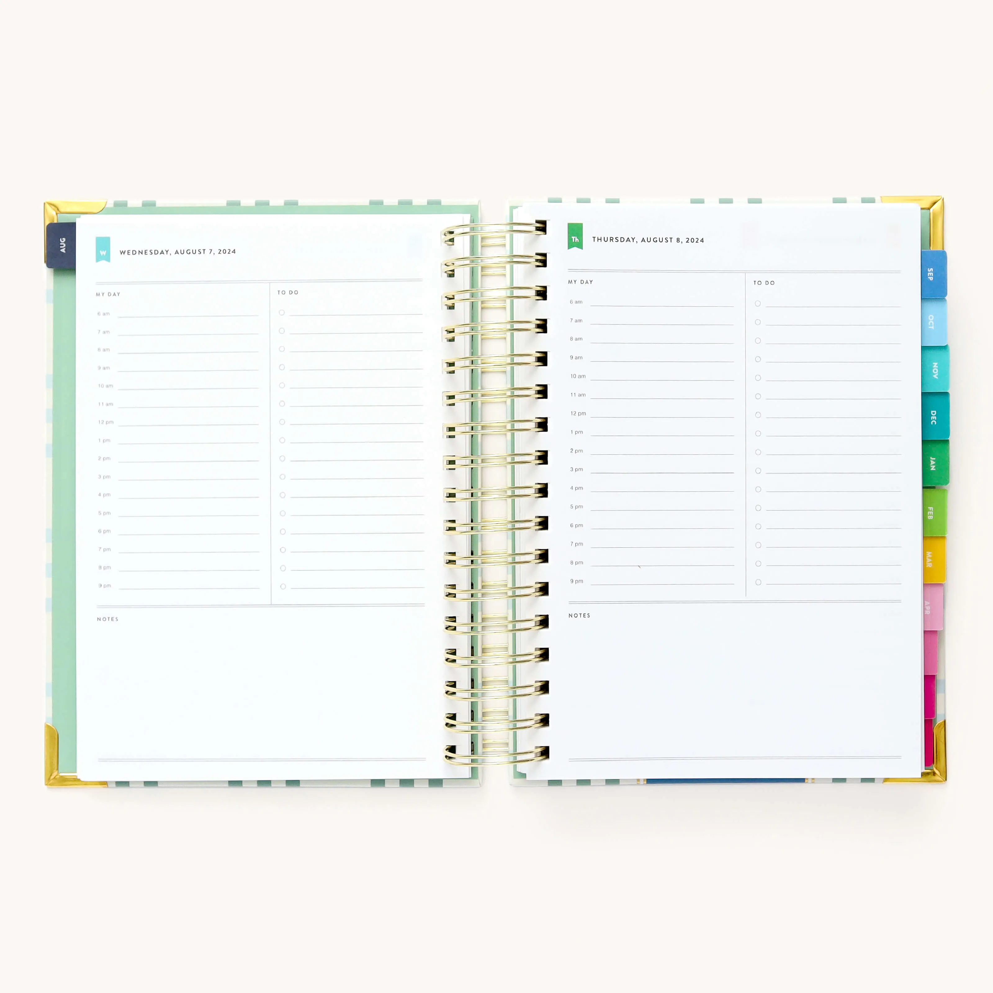 2024-2025 Daily Simplified Planner - Pistachio Plaid