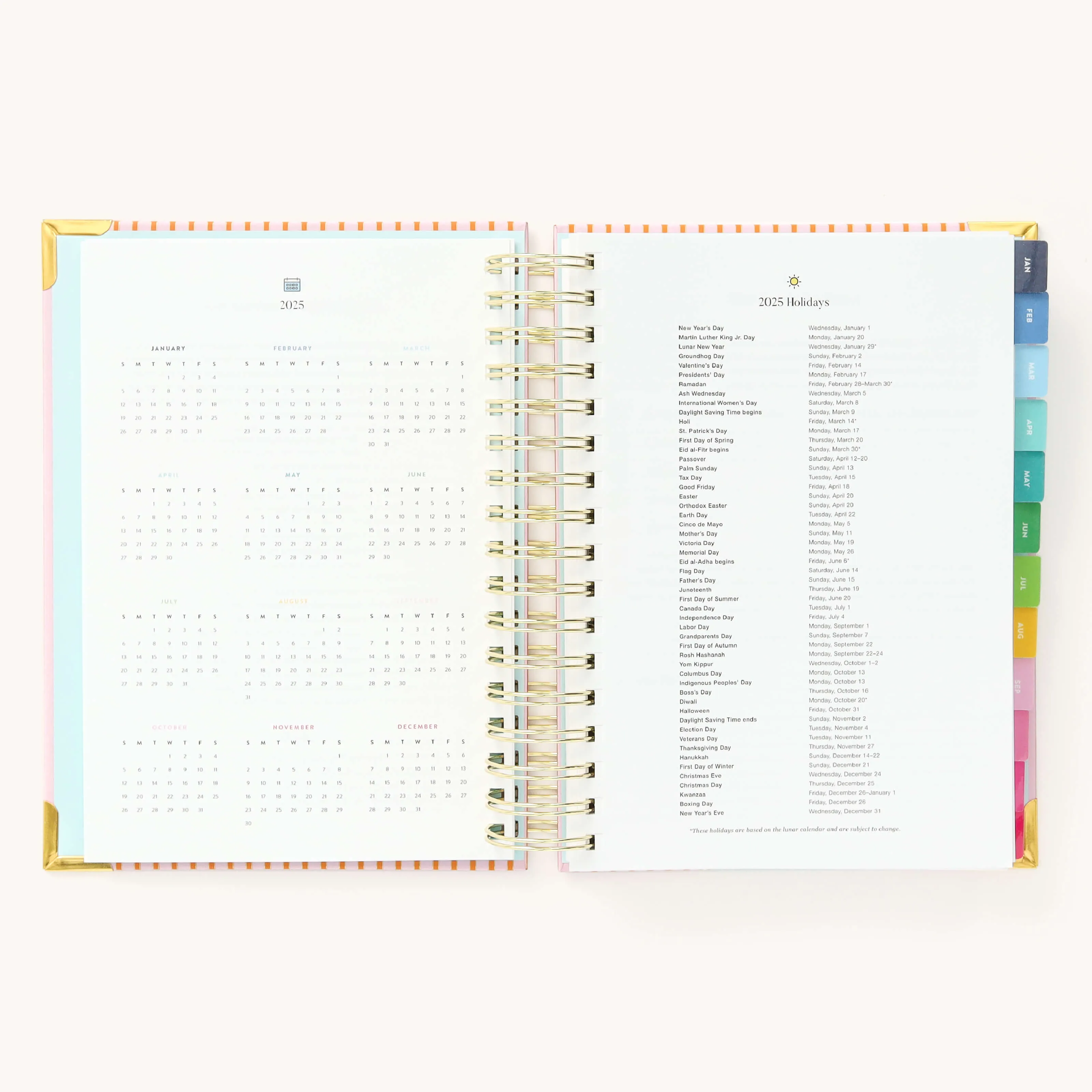 2025 Daily Simplified Planner - Cabana Pinstripe