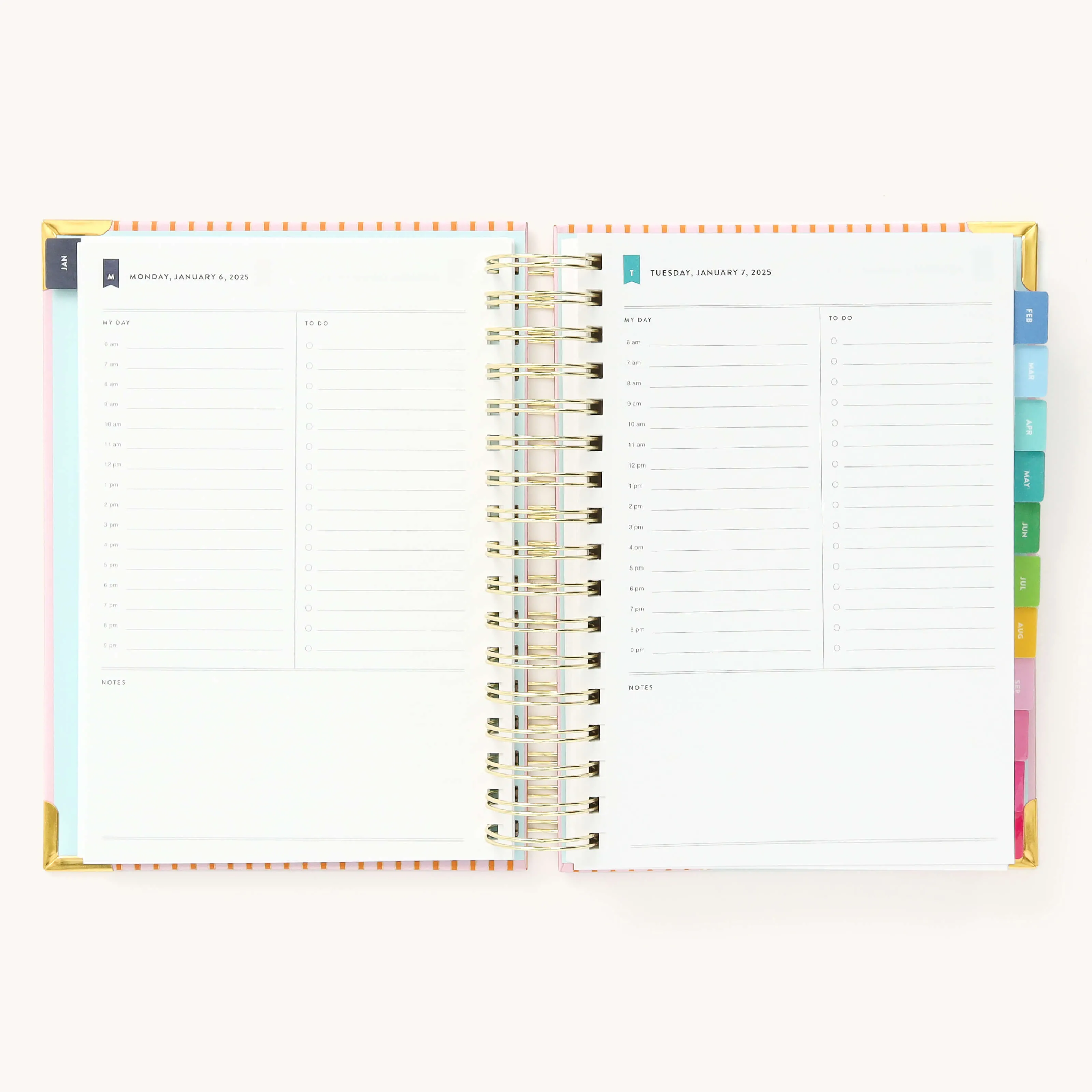 2025 Daily Simplified Planner - Cabana Pinstripe