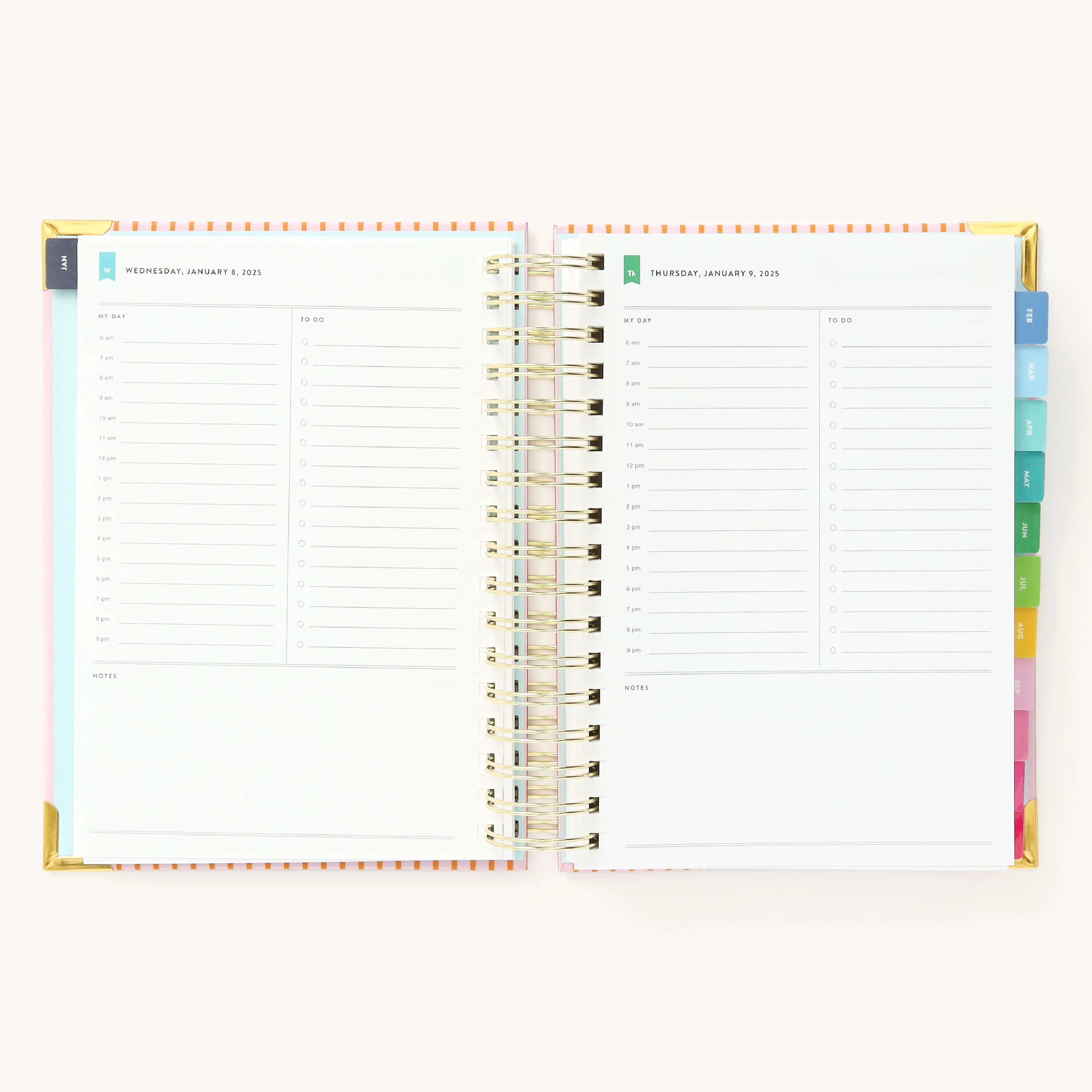 2025 Daily Simplified Planner - Cabana Pinstripe