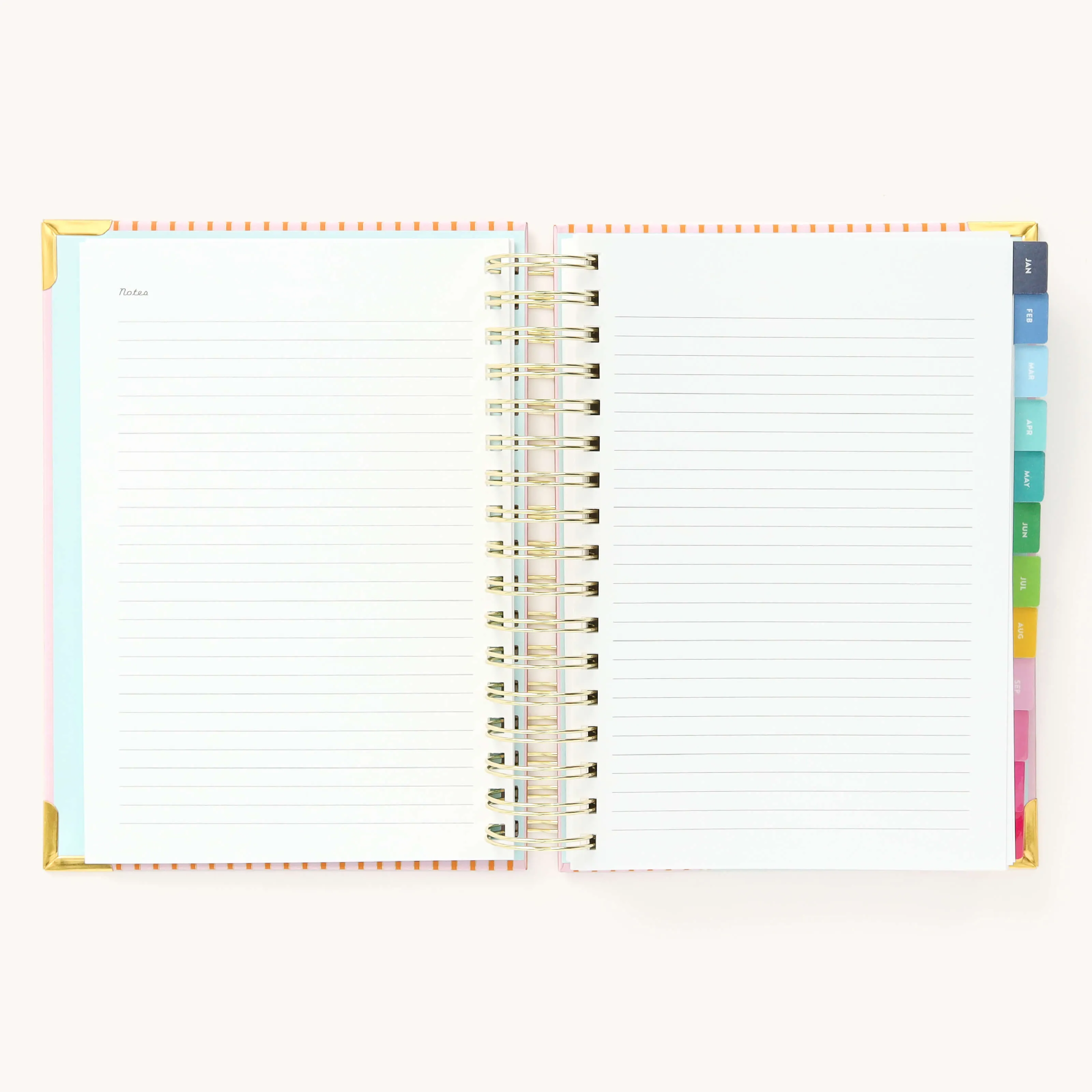2025 Daily Simplified Planner - Cabana Pinstripe