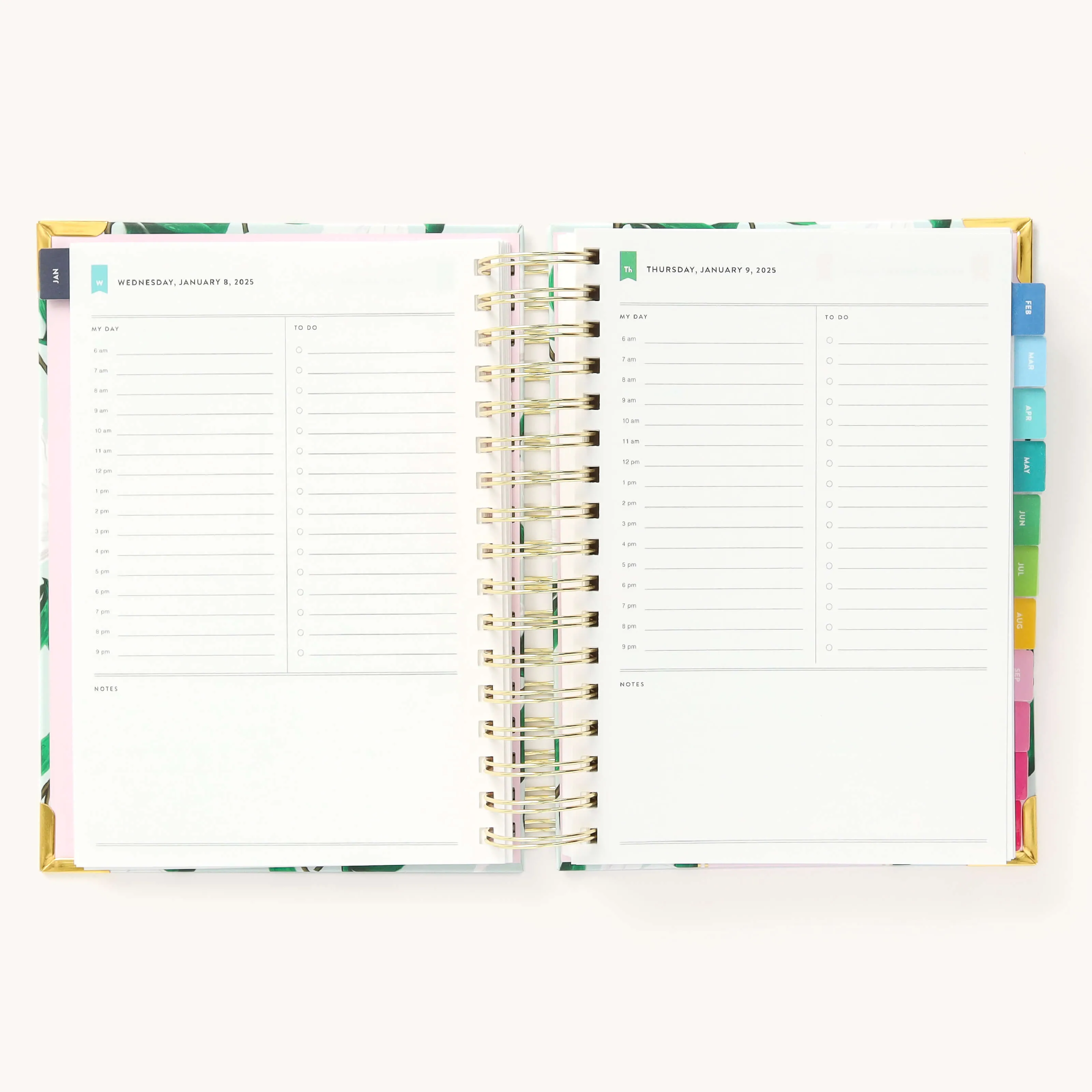 2025 Daily Simplified Planner - Savannah Blooms