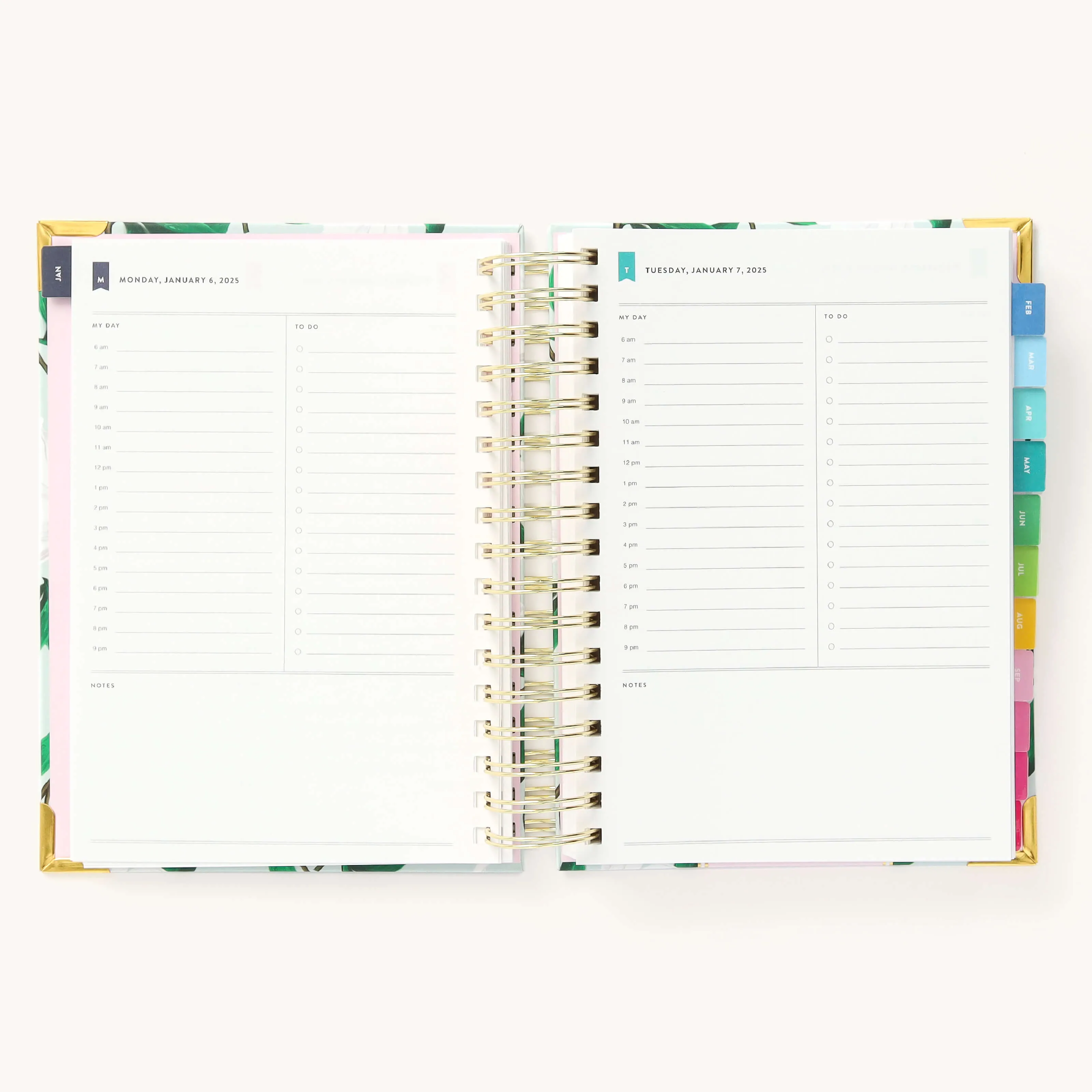 2025 Daily Simplified Planner - Savannah Blooms