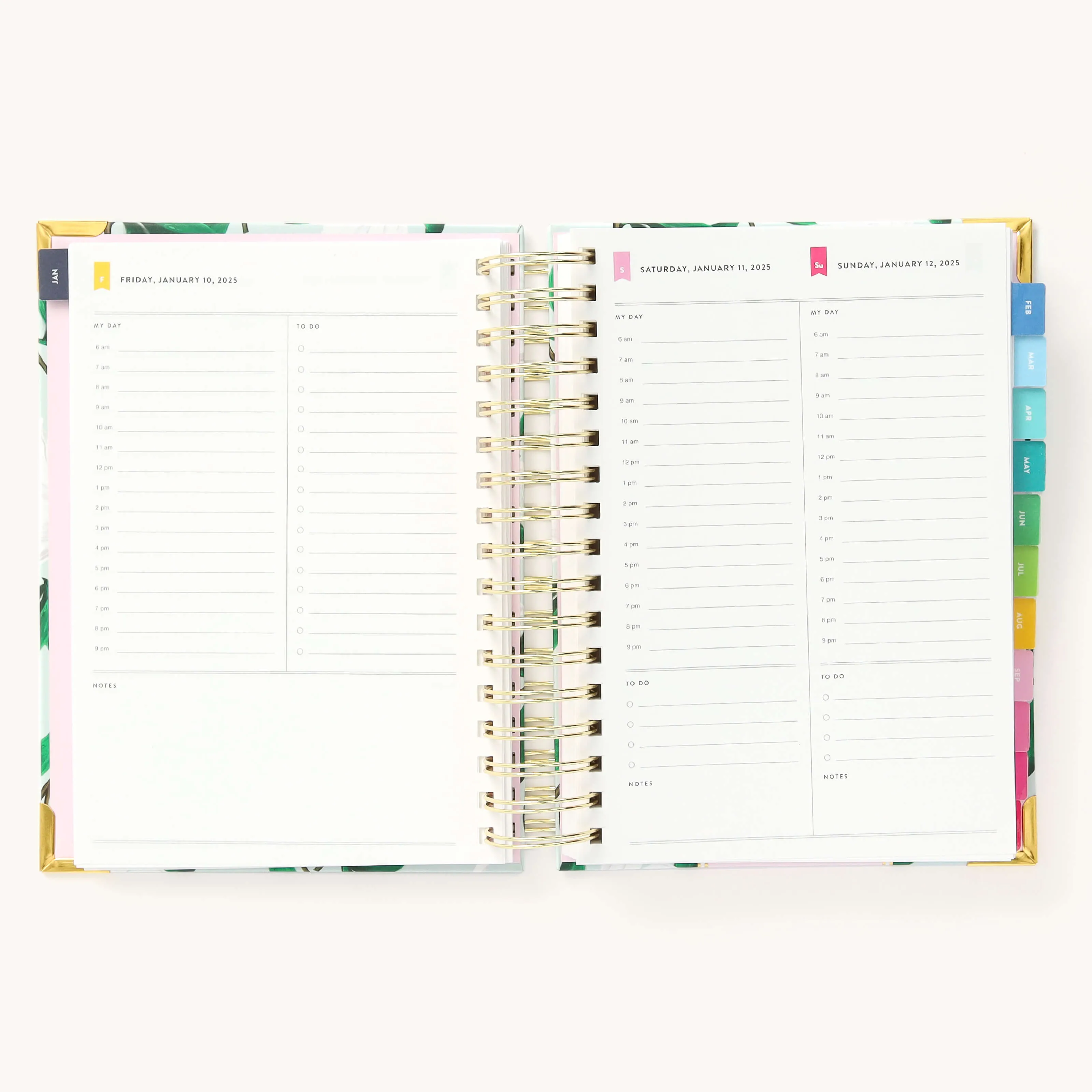 2025 Daily Simplified Planner - Savannah Blooms