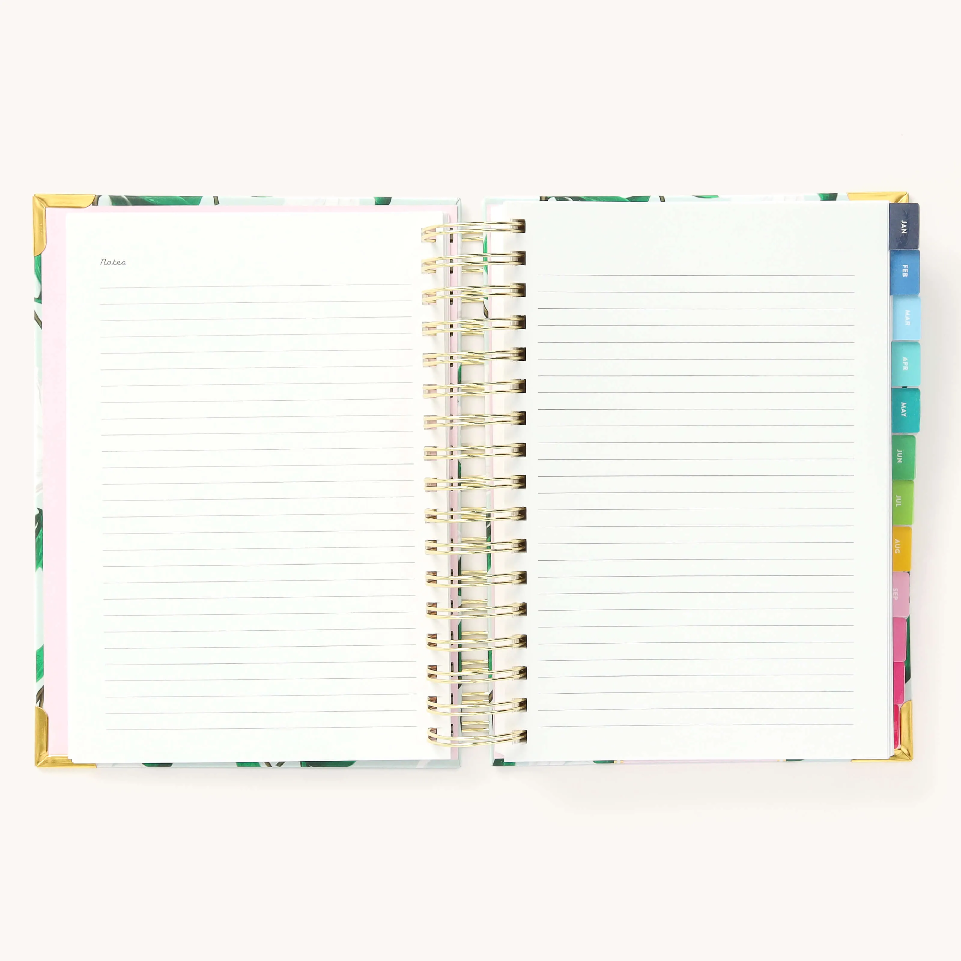 2025 Daily Simplified Planner - Savannah Blooms