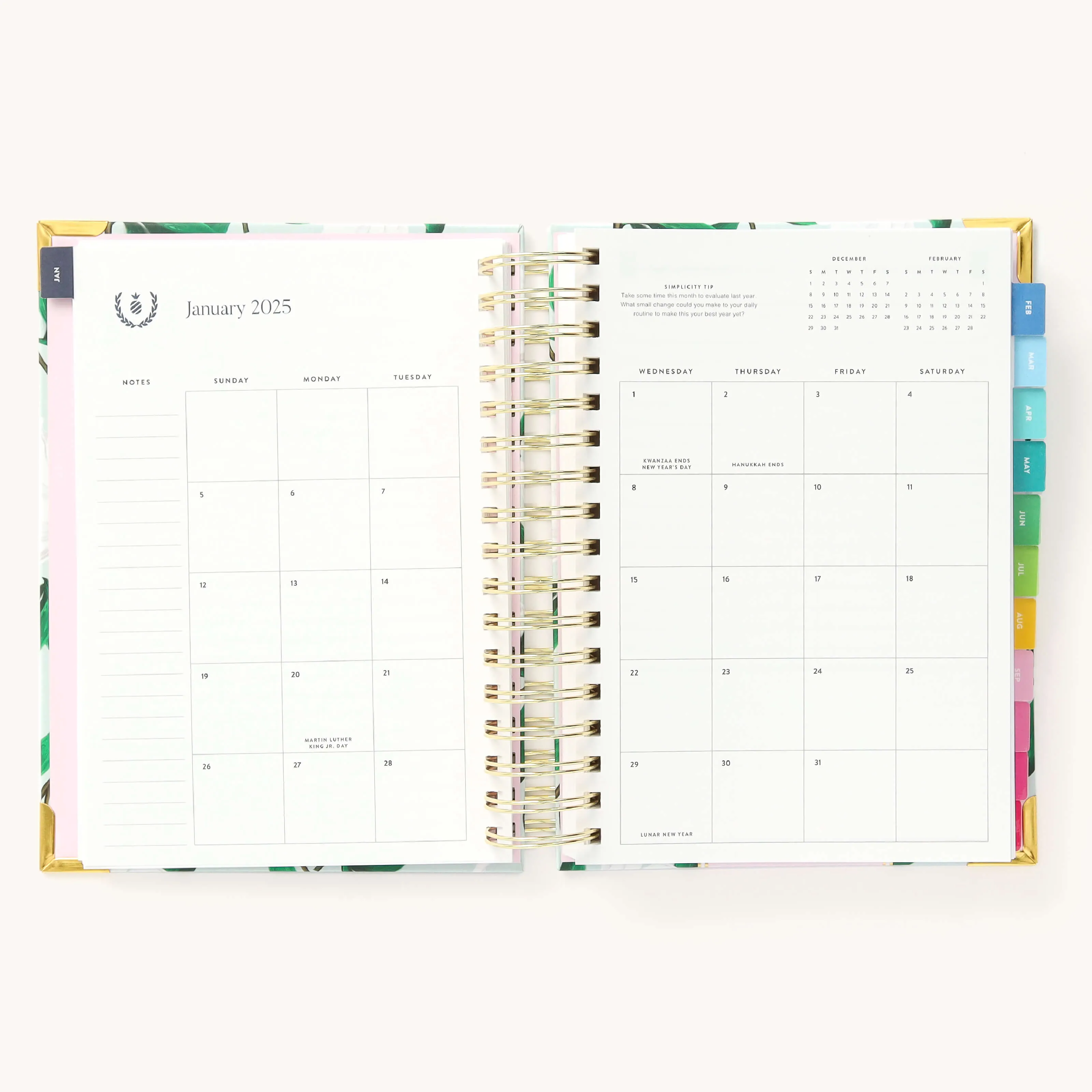 2025 Daily Simplified Planner - Savannah Blooms