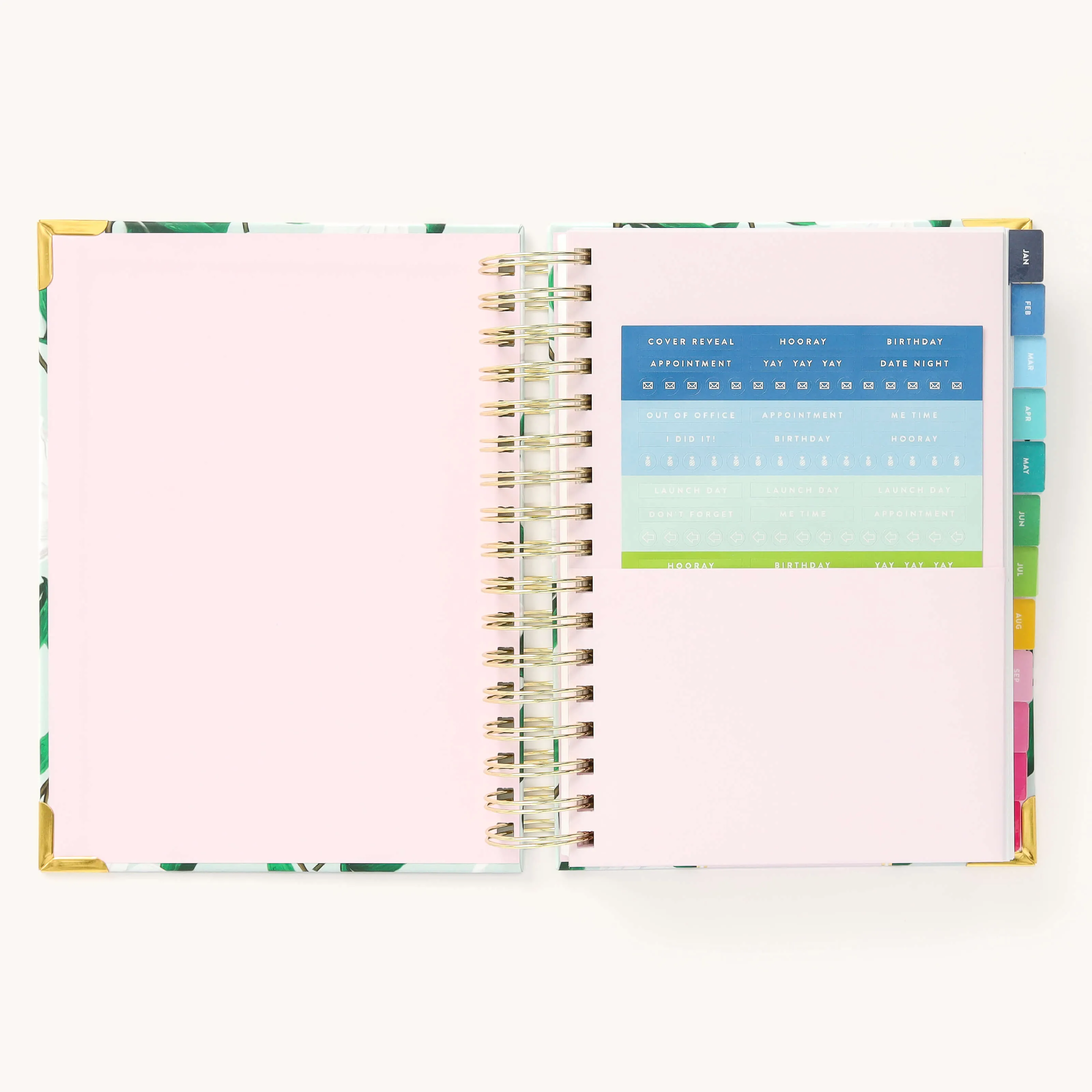2025 Daily Simplified Planner - Savannah Blooms
