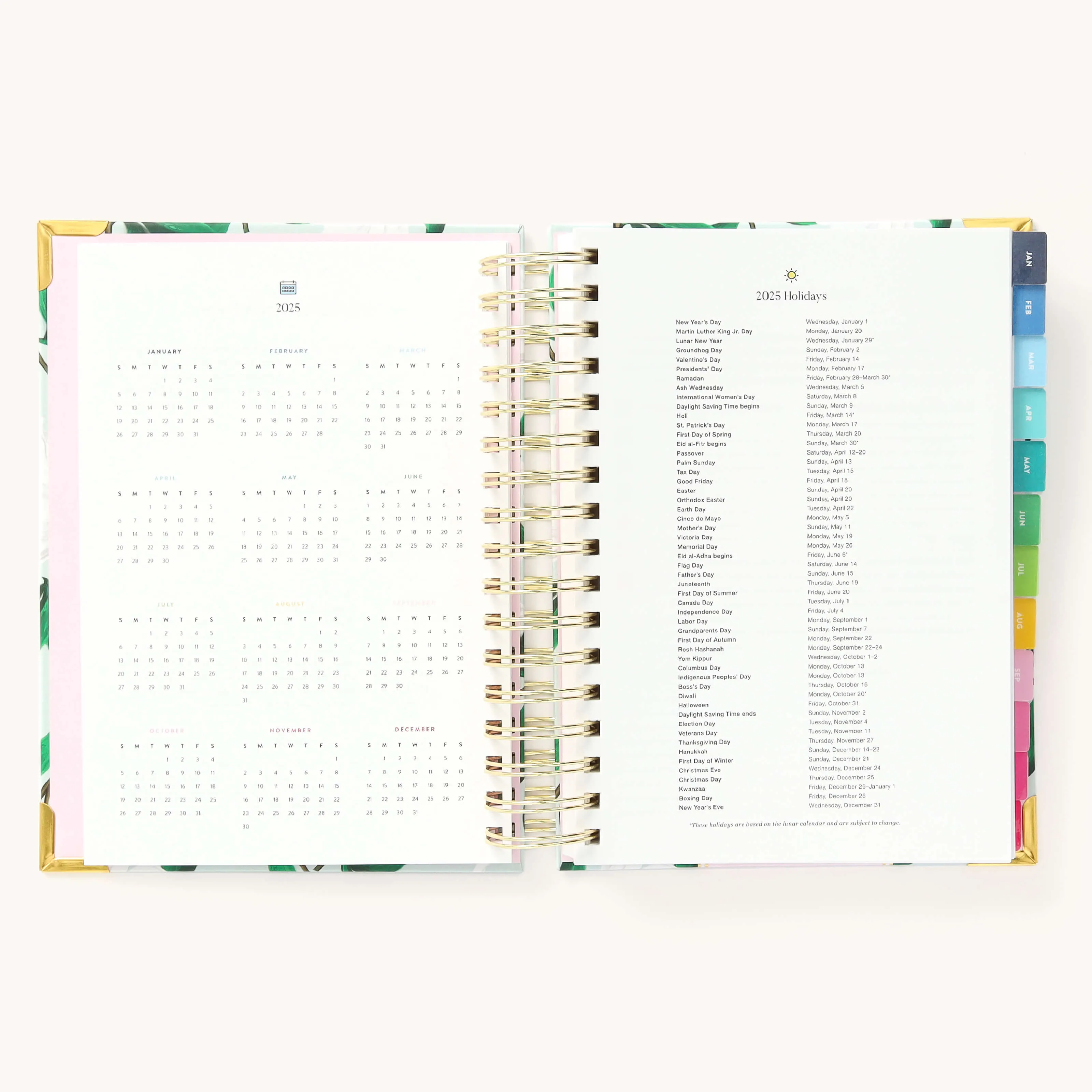 2025 Daily Simplified Planner - Savannah Blooms