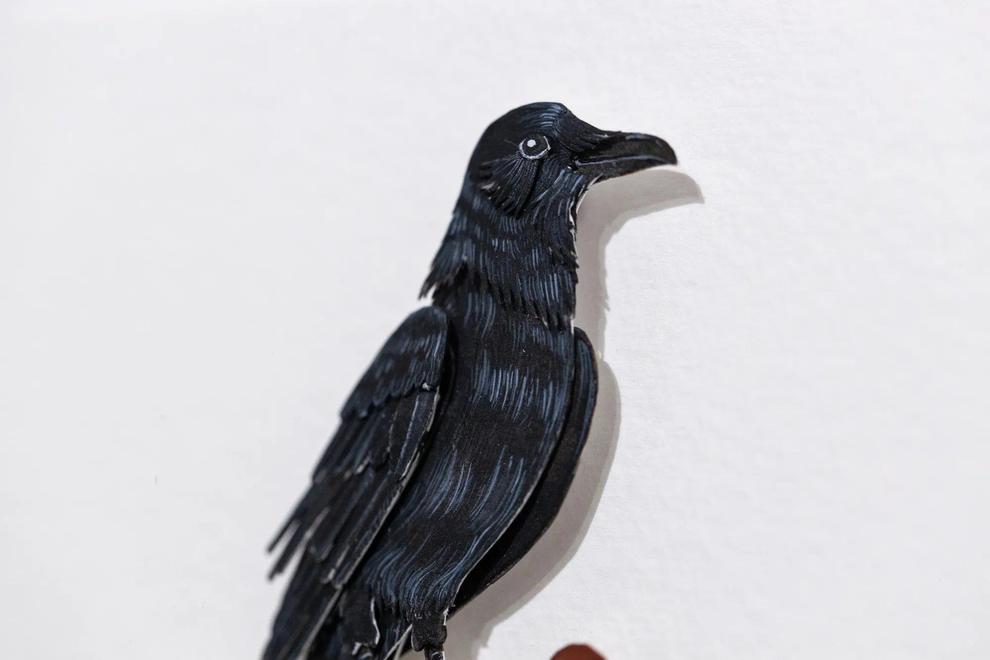 American Crow