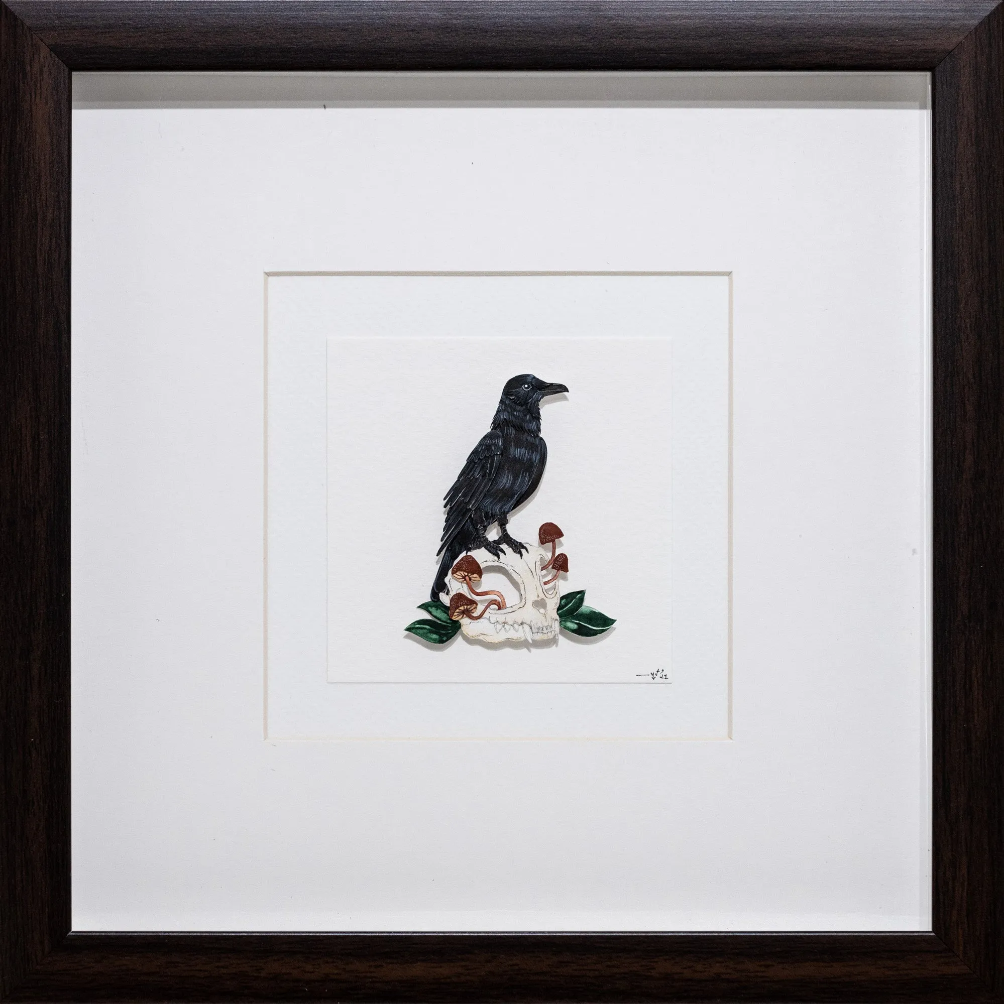 American Crow