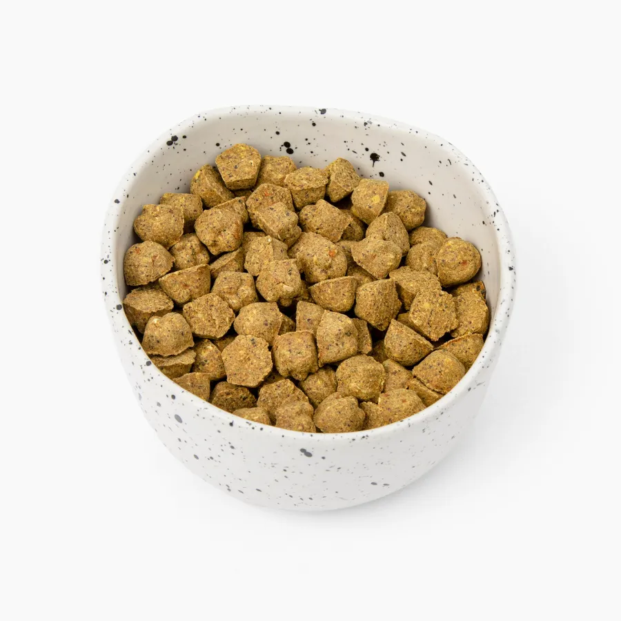 Baked Pumpkin & Peanut Butter Flavor | 4 oz Sample