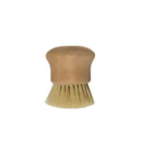 Beach Wood Brush