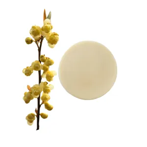 Bohemian Clear Bar