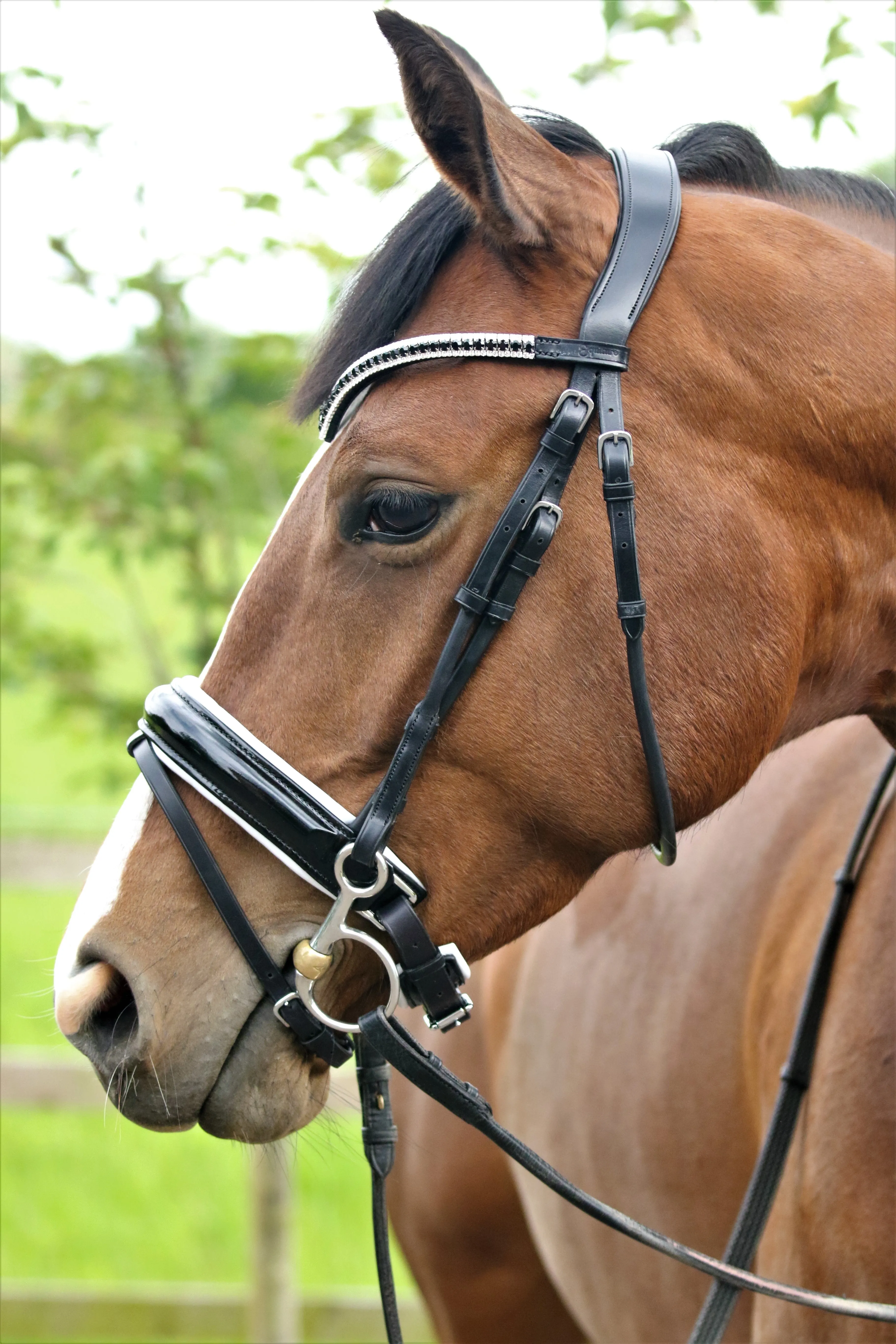 BR headpiece C line anatomic snaffle black leather
