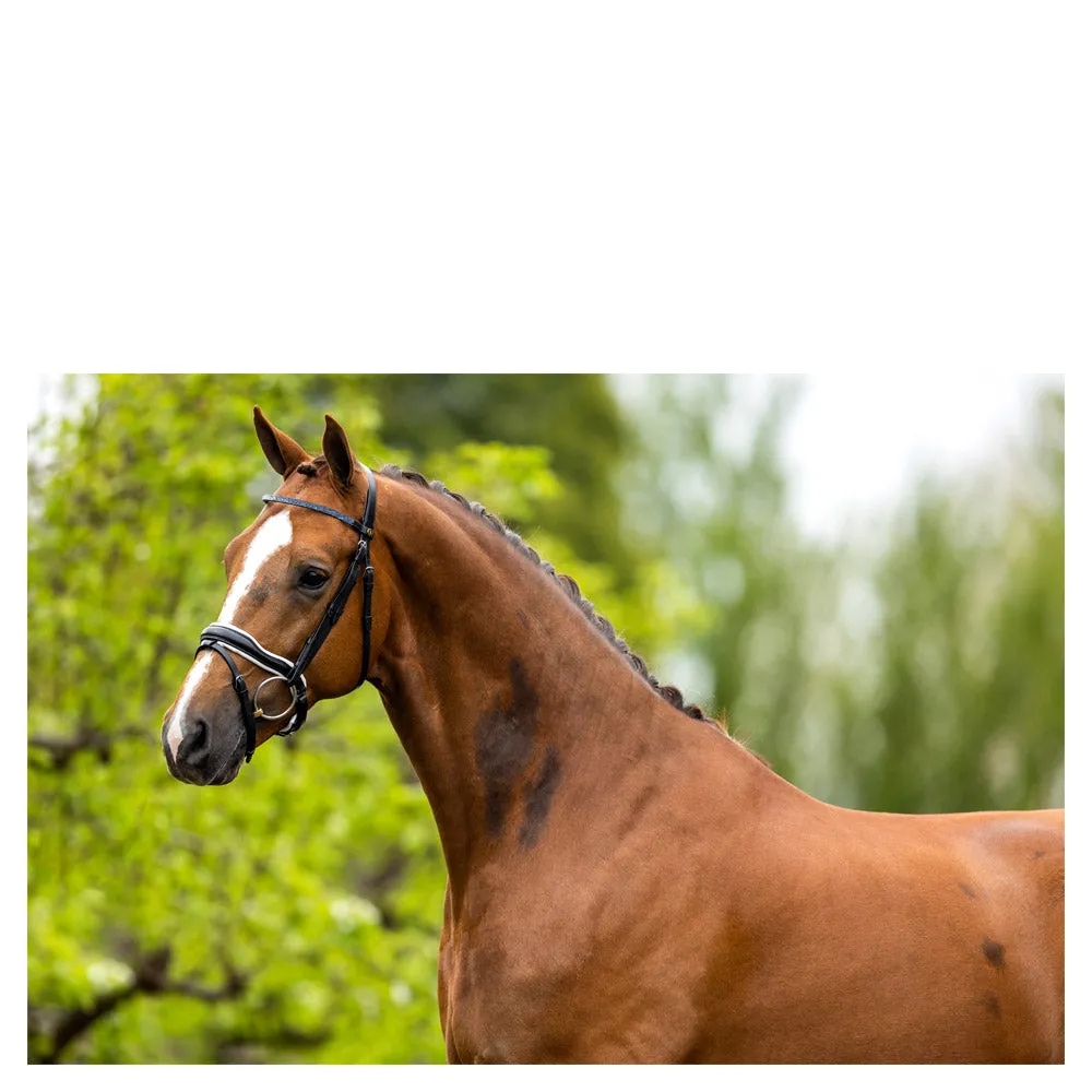 BR Newcastle black leather snaffle bridle