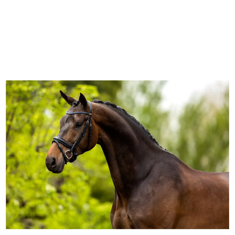 BR Newcastle black leather snaffle bridle