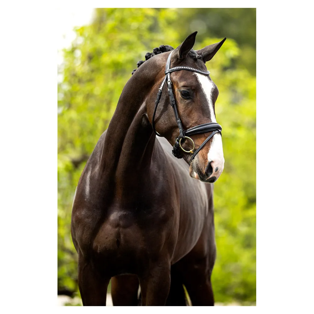 BR Southam black leather snaffle bridle