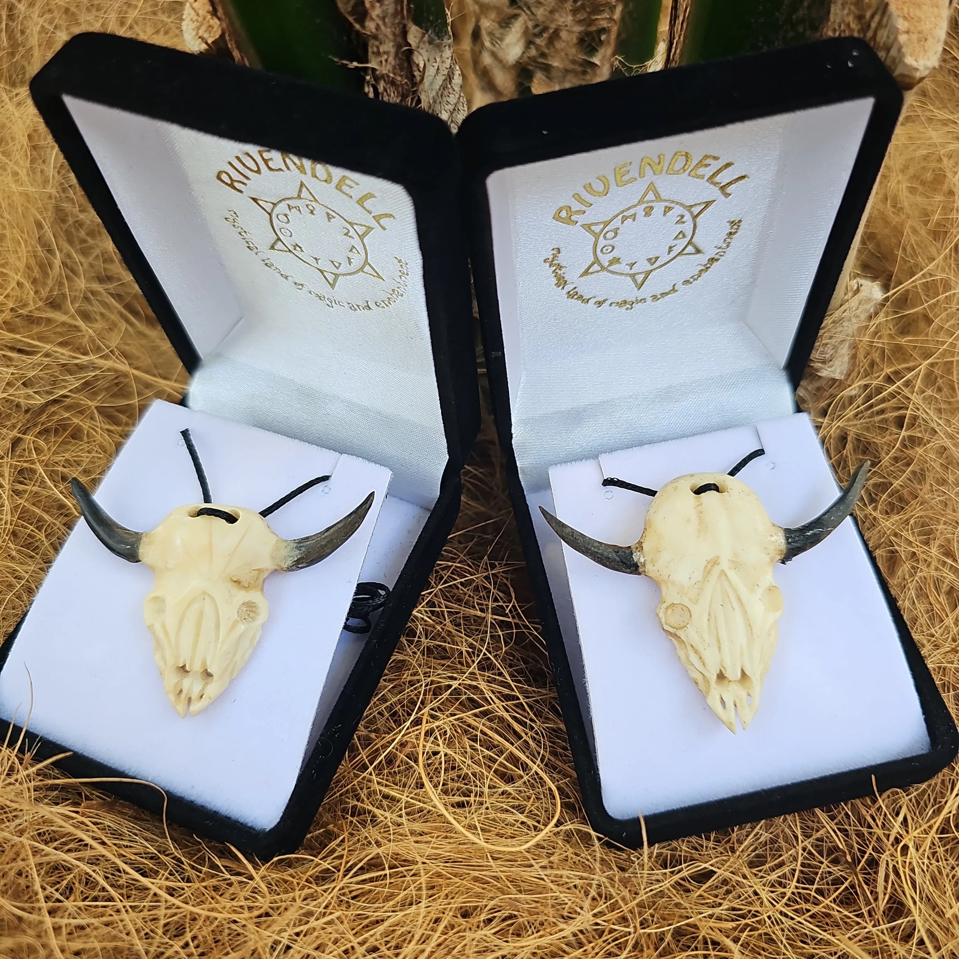 Buffalo Skull Bone Carving