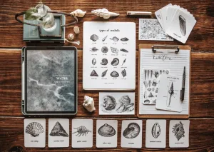 Curio Nature Society Field Guide Issue 11- WATER