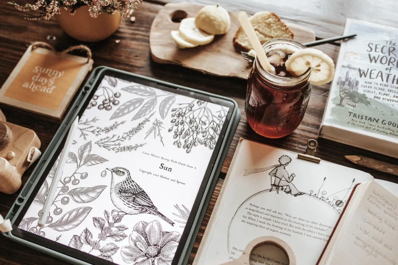 Curio Nature Society Field Guide Issue 3- SUN