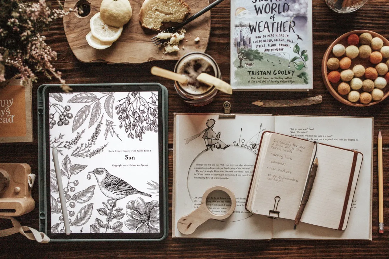 Curio Nature Society Field Guide Issue 3- SUN