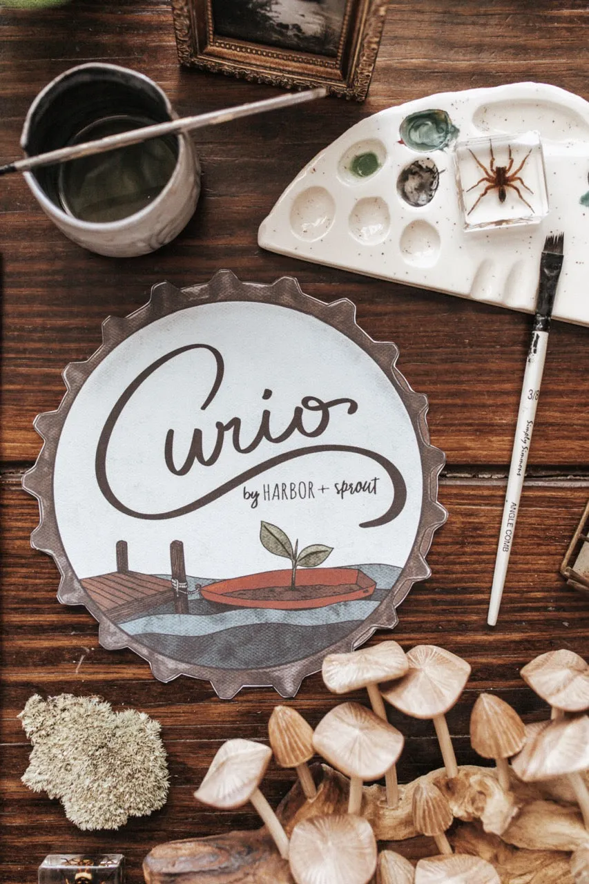 Curio Nature Society Field Guide Issue 3- SUN