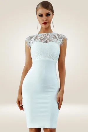 Elegant Short Lace Sleeve Cut Out Bodycon Dress