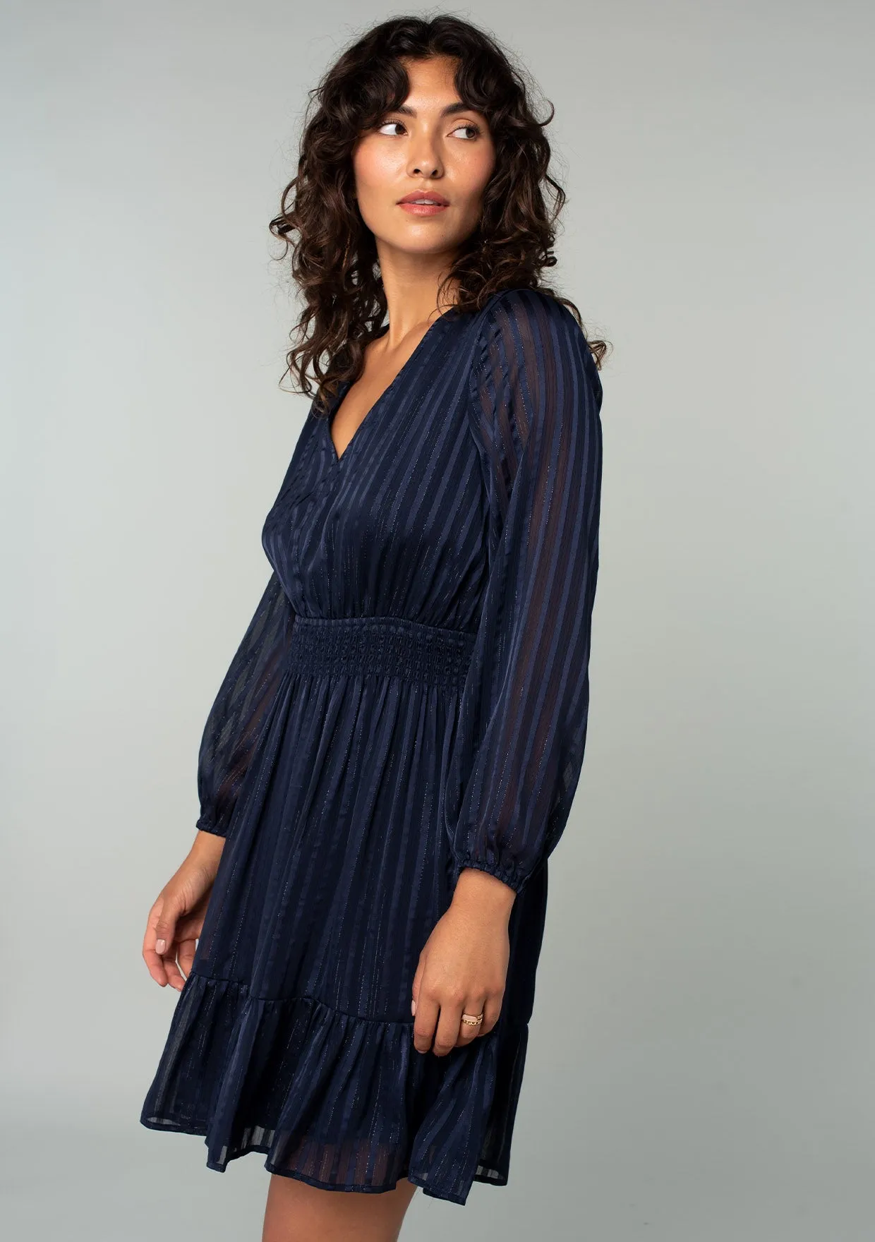 Everlasting Mini Dress