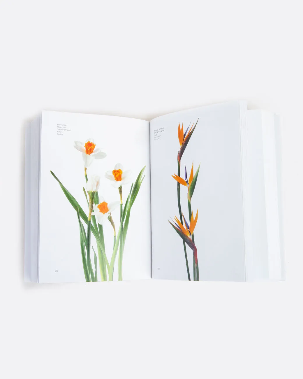Flower Color Guide