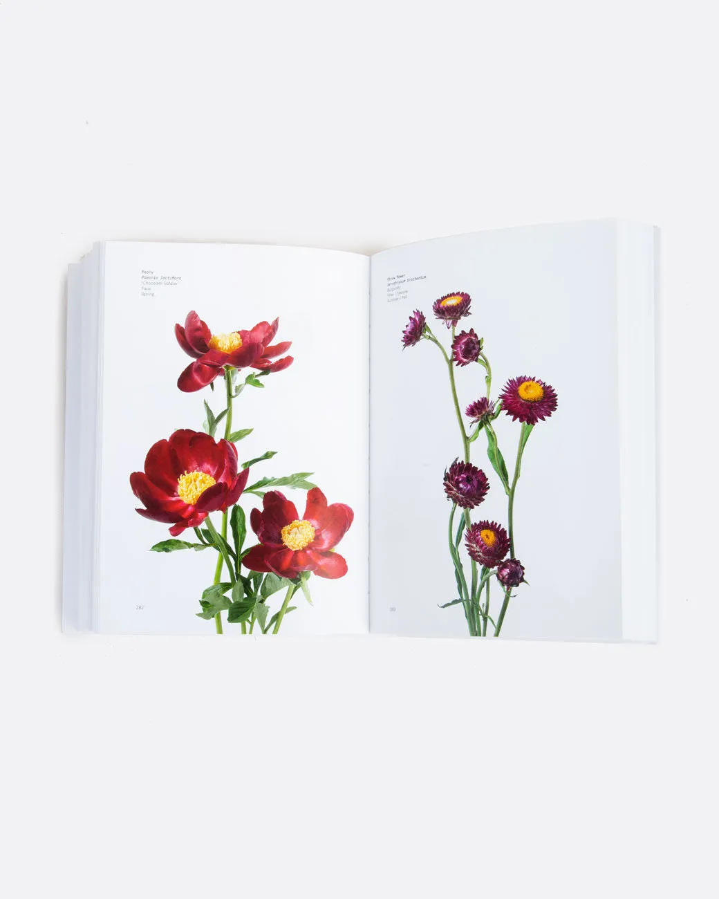 Flower Color Guide