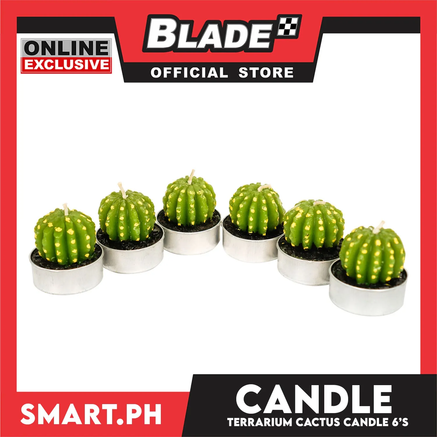 Gifts Terrarium Cactus Candle 6's