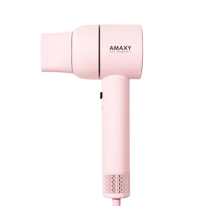 iconic style professional hair dryer