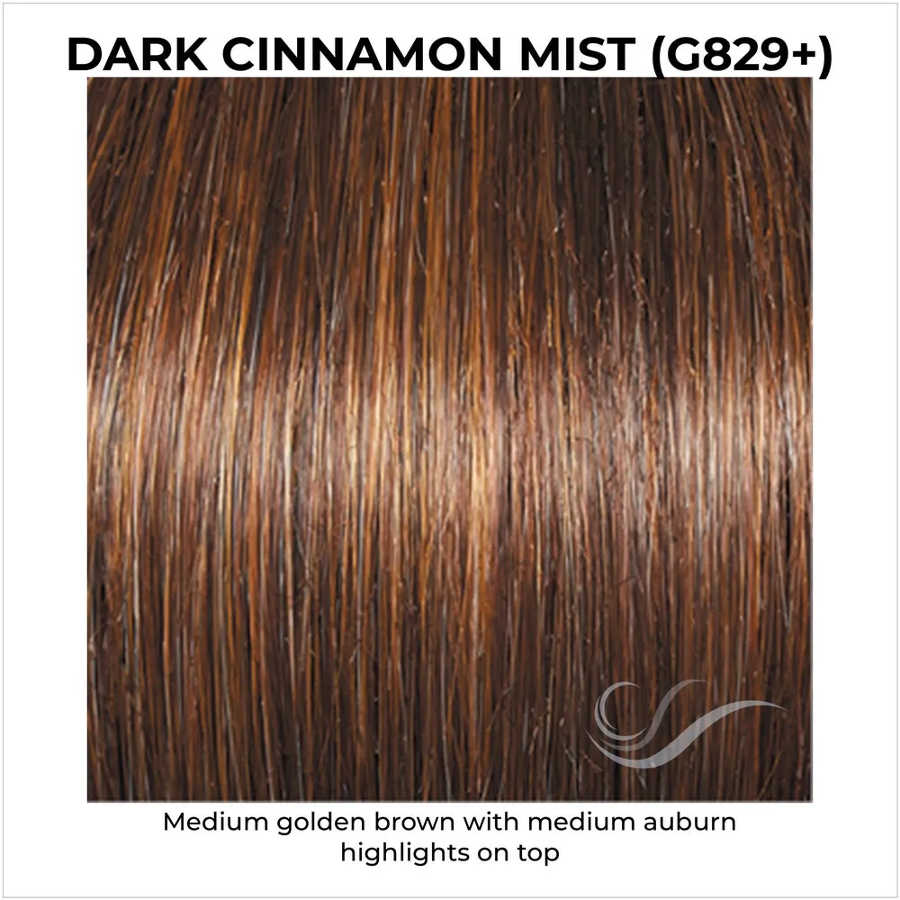Incentive by Gabor (Hand Tied Top Wig)