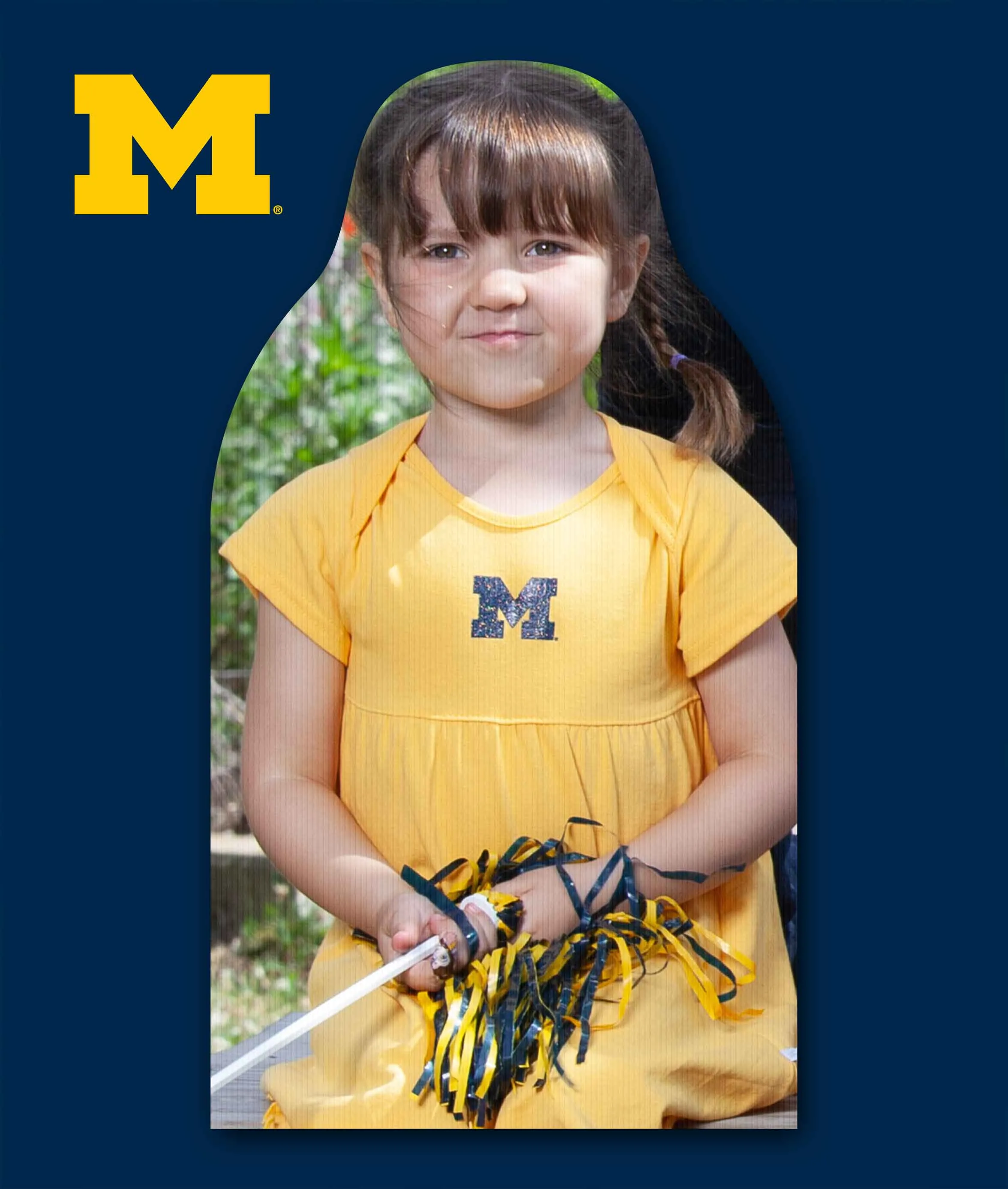 Michigan Support A Sport