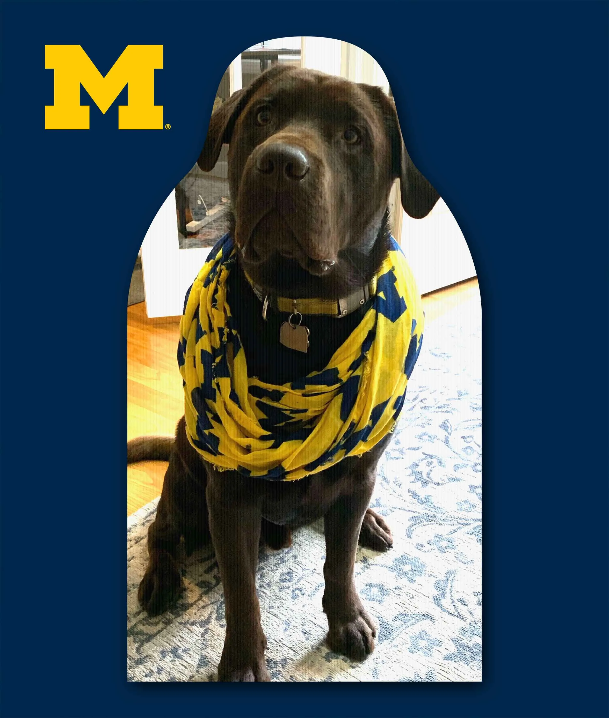 Michigan Support A Sport