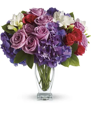Nouri's Rhapsody In Purple