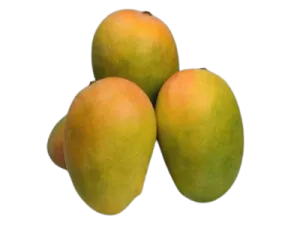 Organic Kesar Mango