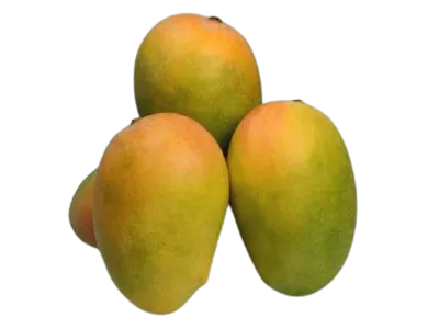 Organic Kesar Mango