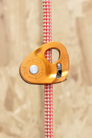 Petzl - Micro Traxion