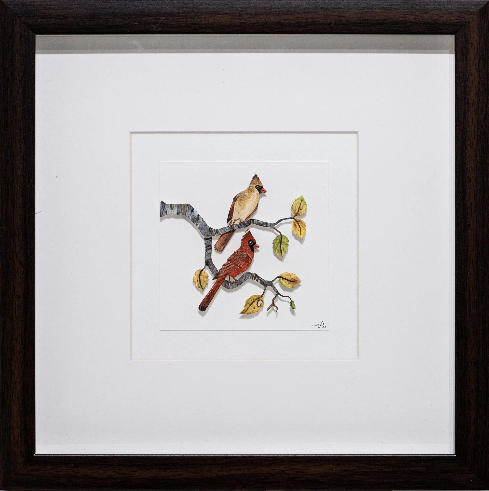 Red Cardinal couple