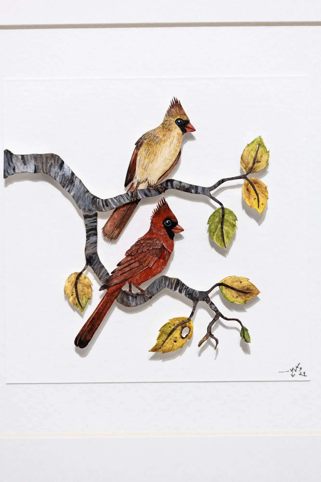 Red Cardinal couple